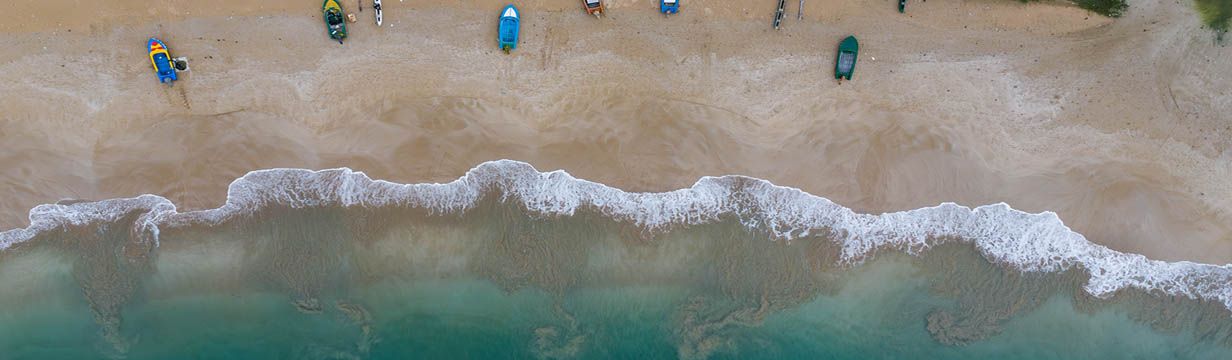 Бюджетные туры на Шри-Ланку