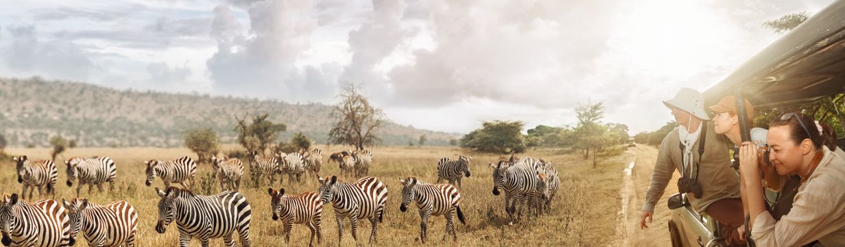 Бюджетные туры в Танзанию