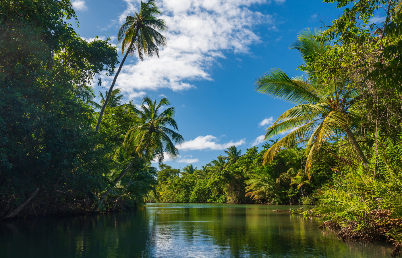 Бюджетные туры в Доминикану из Тюмени